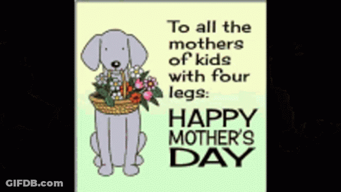 Mother's Day Card Dog Holding Flowers GIF