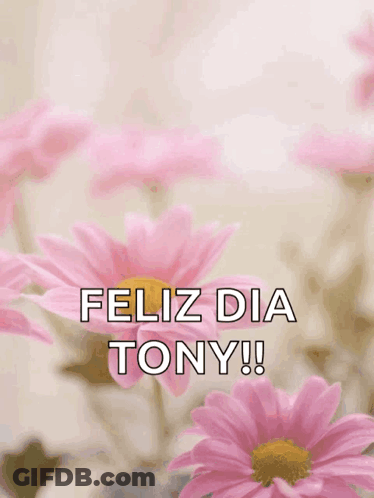 Mother's Day Card Pink Flowers Happy Feliz Dia Tony GIF