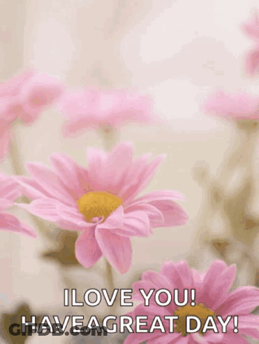 Mother's Day Card Pink Flowers Happy Mother's Day GIF