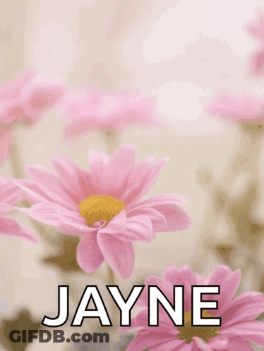 Mother's Day Card Pink Flowers Jayne GIF