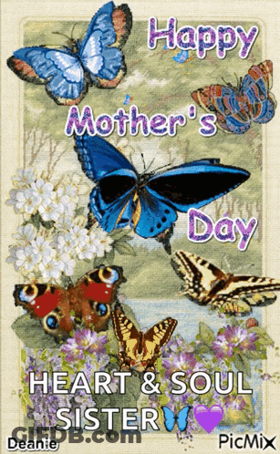 Mother's Day Card With Butterflies GIF