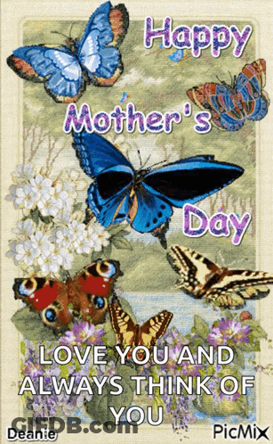 Mother's Day Card With Butterflies Flowers GIF