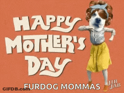 Mother's Day Card With Dog GIF