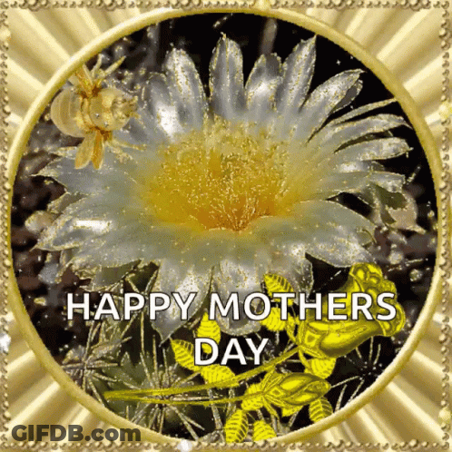 Mother's Day Card With Flower And Bee GIF