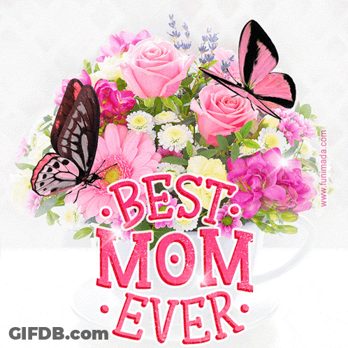 Mother's Day Card With Pink Daisies GIF
