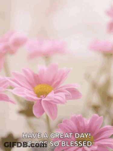 Mother's Day Card With Pink Flowers GIF