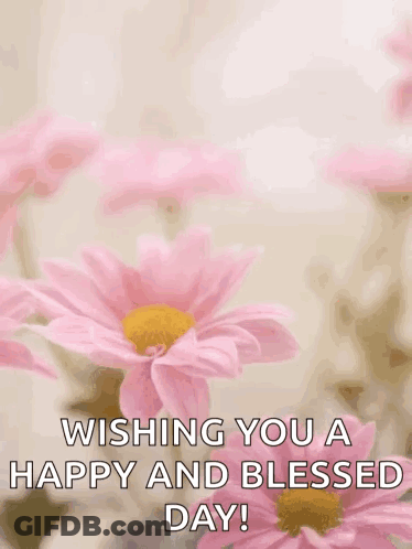 Mother's Day Card With Pink Flowers GIF