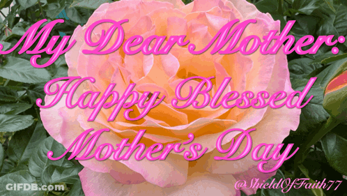 Mother's Day Card With Pink Rose GIF