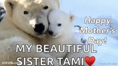 Mother's Day Card With Polar Bears GIF