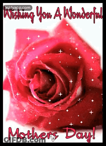 Mother's Day Card With Red Rose GIF