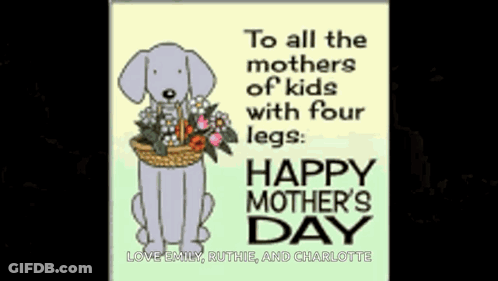 Mother's Day Card With Roses And Chocolates GIF