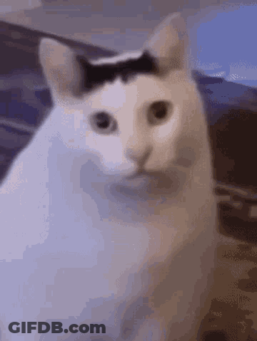 Mother's Day Card With Smiling Dog GIF