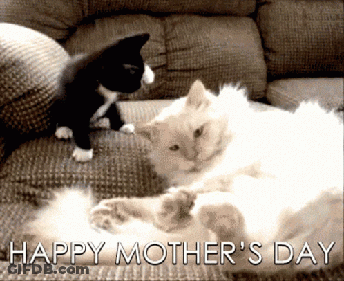 Mother's Day Card With Two Cats GIF
