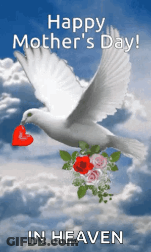Mother's Day Card With White Dove Holding Heart GIF