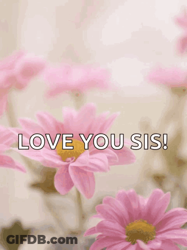 Mother's Day Greeting Card Pink Flowers GIF