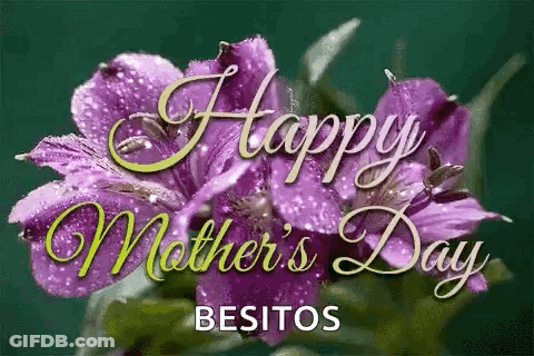 Mother's Day Greeting Card Purple Flowers GIF