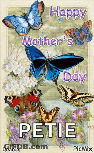 Mother's Day Greeting Card With Butterflies And Petie GIF