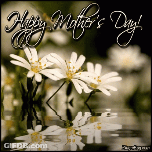 Mother's Day Greeting Card With Flowers GIF