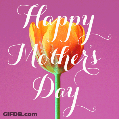 Mother's Day Greeting Card With Orange Flower GIF