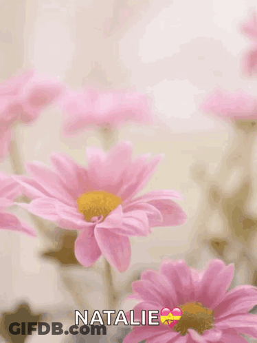 Mother's Day Greeting Card With Pink Flowers GIF