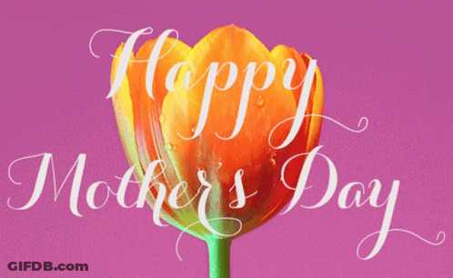 Mother's Day Greeting Card With Tulip GIF