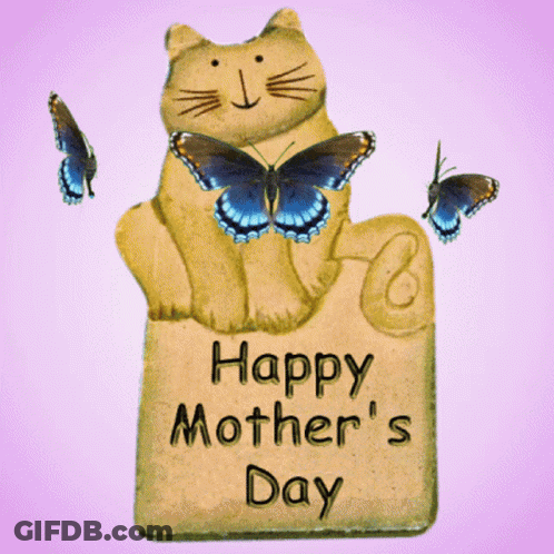 Mother's Day Sign With Cat And Butterflies GIF