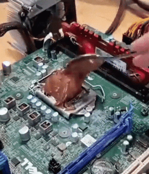Motherboard CPU Nutella Chocolate GIF