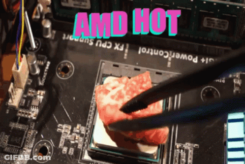 Motherboard Saying AMD Hot GIF