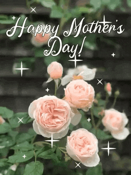 Mothers Day Flower GIF
