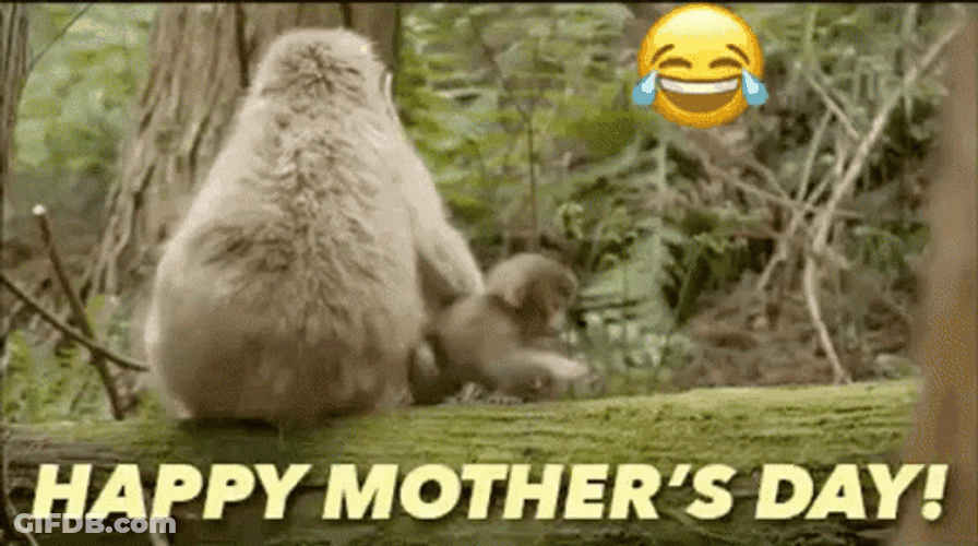 Mothers Day Funny Monkey Pulling Her Kid GIF