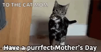 Mothers Day Happy Mother Day GIF