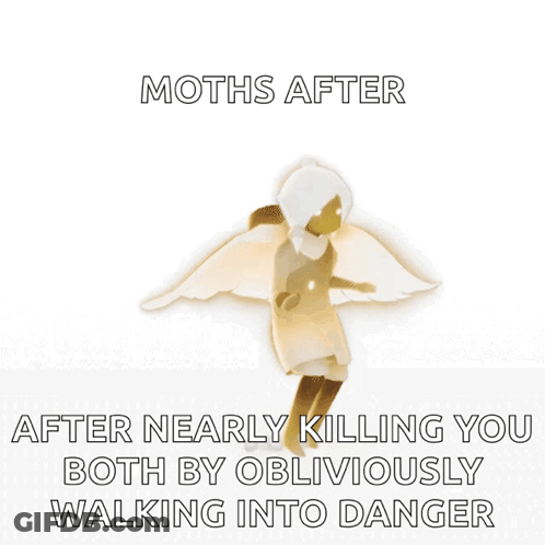 Moths Walking Into Danger Poster GIF