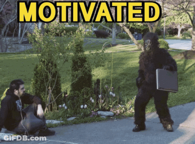 Motivated Motivation Funny GIF