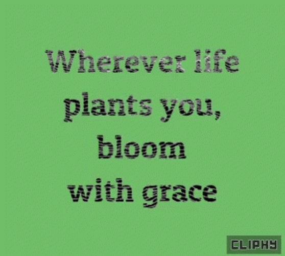 Motivational Monday Bloom With Grace GIF