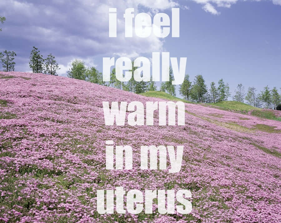 Motivational Quotes I Feel Really Warm GIF