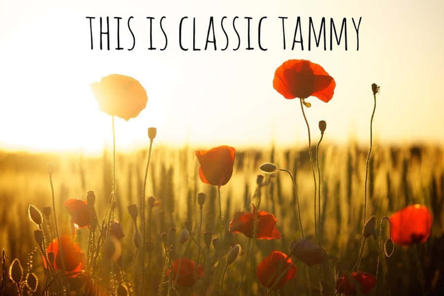 Motivational Quotes This Is Classy Tammy GIF