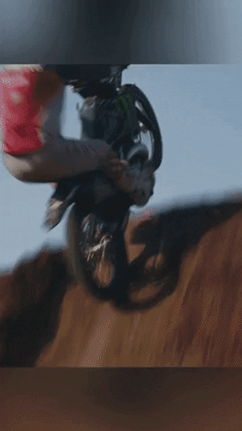 Moto Moto Backflip X Games GIF