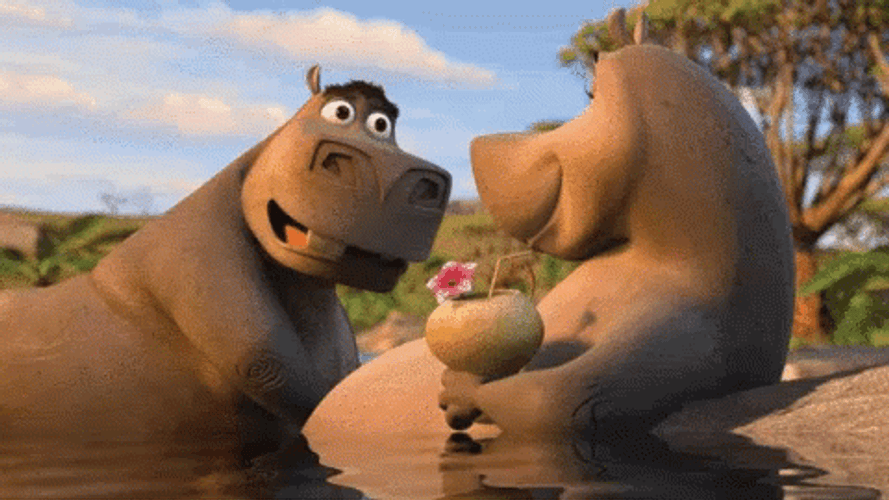 Moto Moto Madagascar Gloria Swim Love GIF