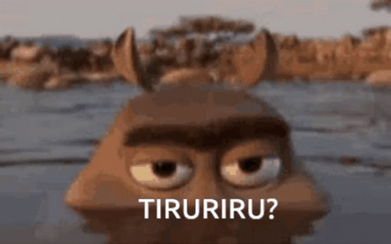 Moto Moto Madagascar Hipo Tiruriru GIF
