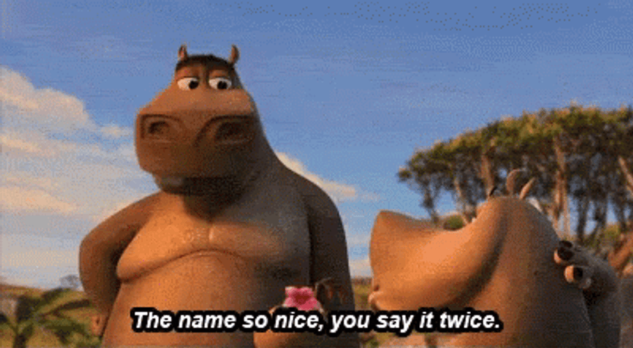 Moto Moto Name So Nice Madagascar GIF