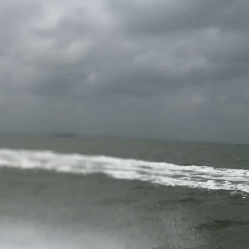 Motorboat Fast Craft GIF
