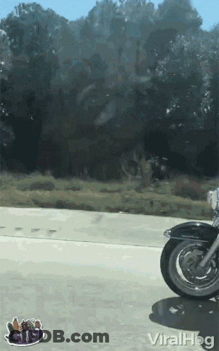Motorcycle Driving Down Highway Saying Viralhog GIF