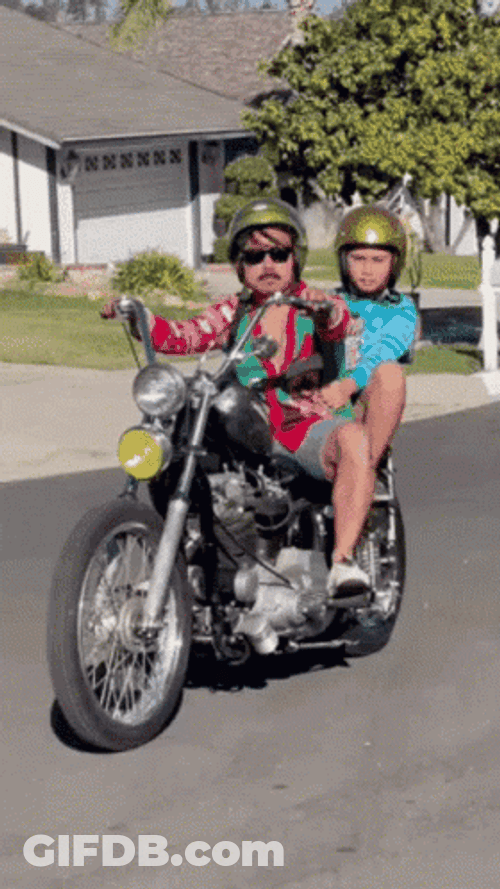 Motorcycle Harley Davidson Greg Mercado GIF