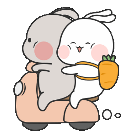 Motorcycle Scooter Rabbits Riding Together GIF