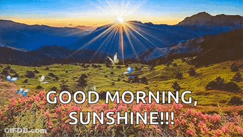Mountain Landscape With Sun Through Trees And Flowers GIF