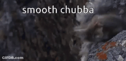 Mountain With Smooth Chubba Written On It GIF