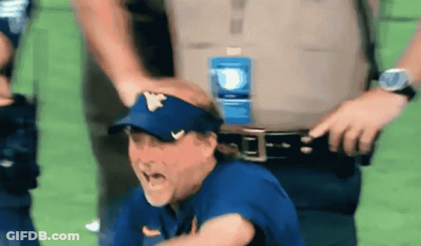 Mountaineers Coaching Staff Member Cheering GIF