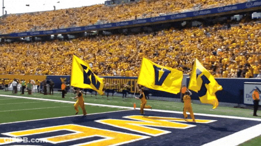 Mountaineers Flag Waved By Tree Man GIF