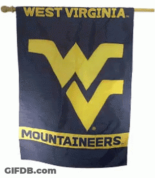 Mountaineers Flag Waving GIF
