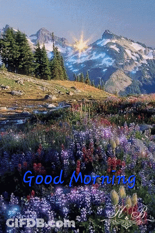 Mountains And Flowers Good Morning GIF